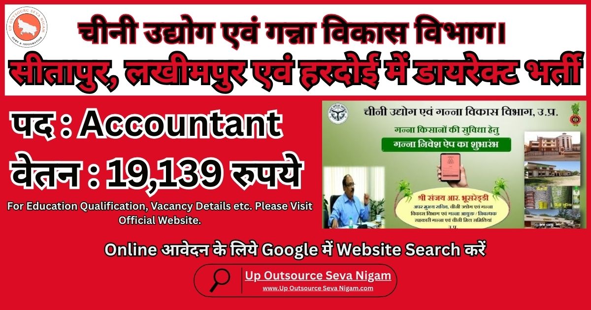 Outsource Accountant Job